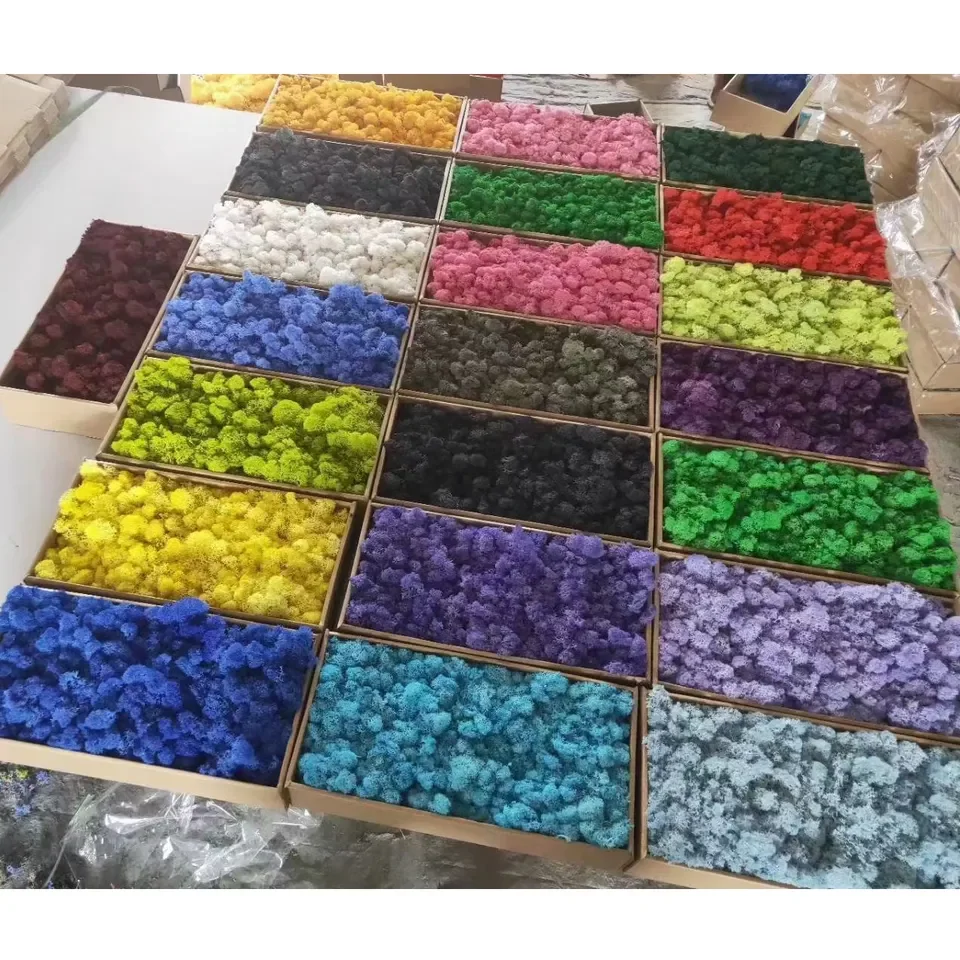 Free size artificial real preserved live moss wall art moss Picture Frame decorations panel artificial moss grass wall