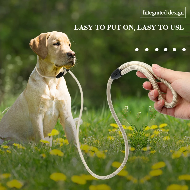 Hot Sale Lightweight Durable Non-slip Dog Leashes Collar Thickened P-Chain Loop Slip Lead Running Nylon Training Traction Rope