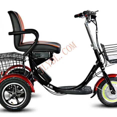 16 Inch 48V 250W Brushless Motor Electric 3 Wheel Tricycle
