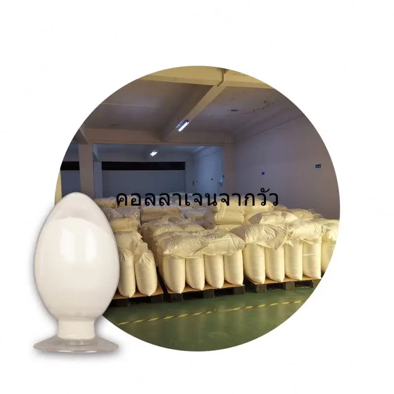 Soluble Odorless  type i collagen nature peptide with Cheap Price