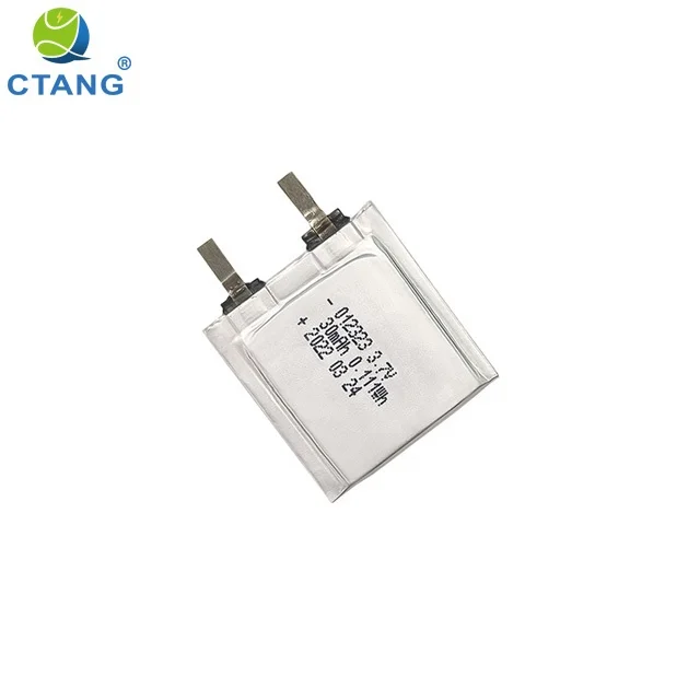 polymer battery 012323-04.jpg