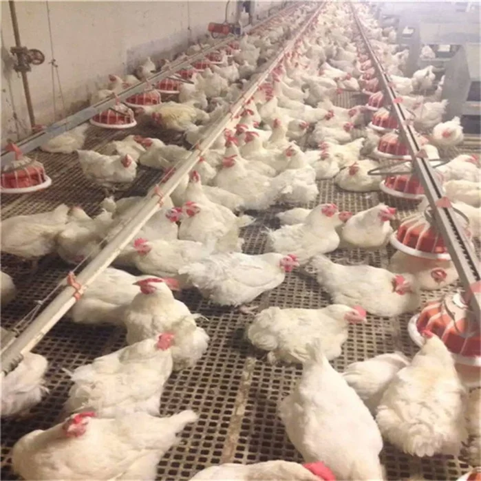 Пластиковый настил для птицефермы, домик для кур/овец/уток