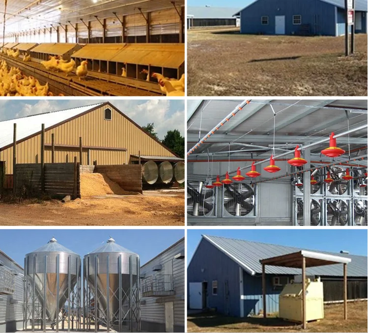 Cheap Steel Industrial Automatic Broiler Poultry Farm Chicken House for 10000 Chickens