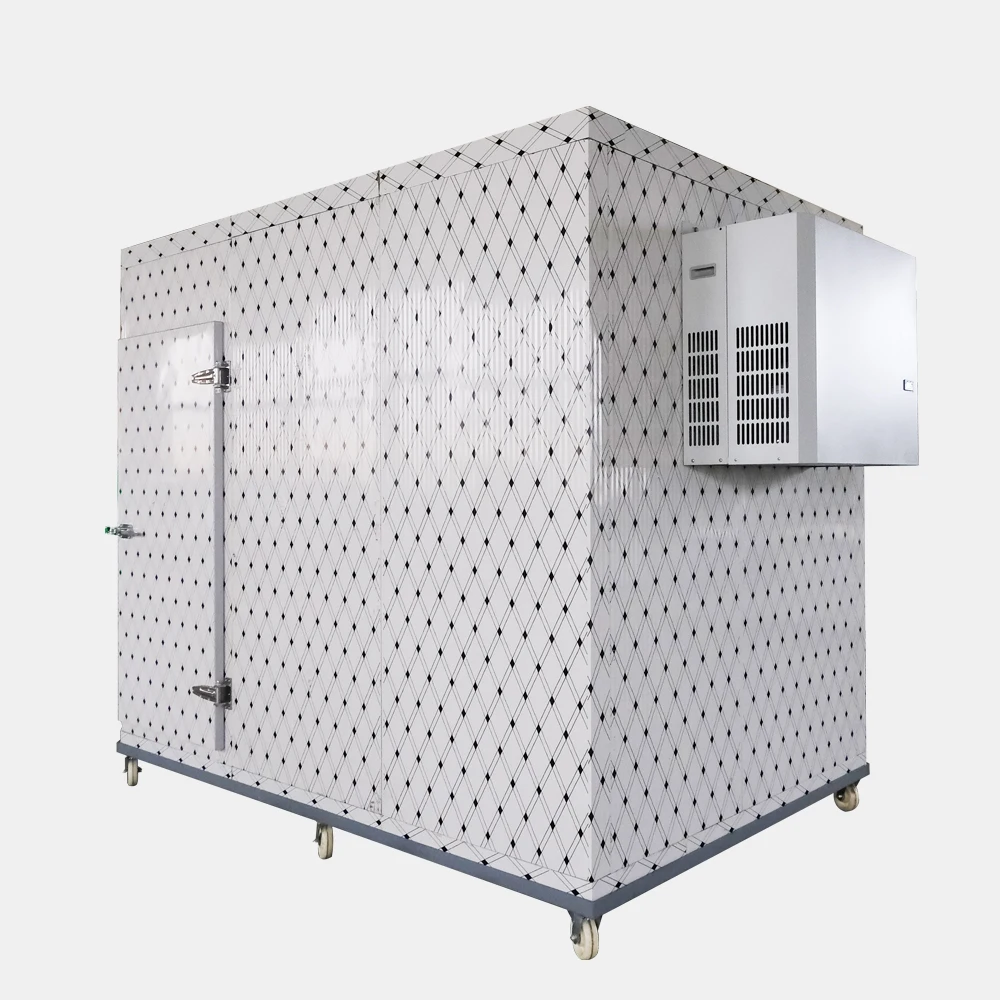 Factory Direct Supply,Fruit And Vegetable Fresh-keeping Container,Cold Storage Room