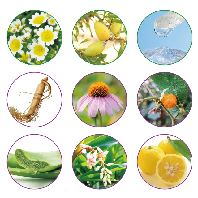 Enhance relaxation and anti aging effects supply items set beauty private label