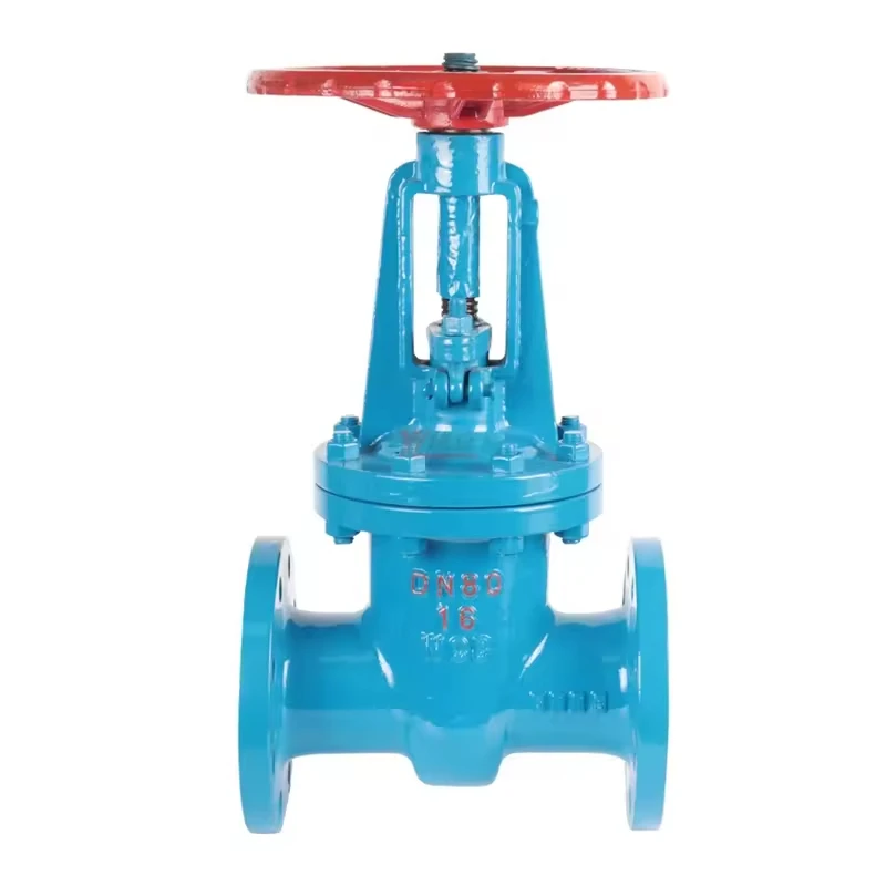 Cast Iron Pn16 Dn100 Water Din 3352 F4 Resilient Seated Gate Flanged Valve