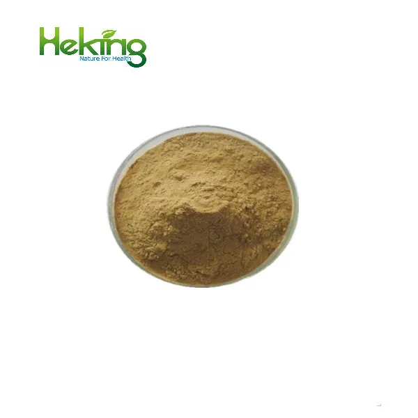 Hot Sale Herb Extract Himalaya Teasel Root Extract Radix Dipsaci Powder Radix dipsaci Extract