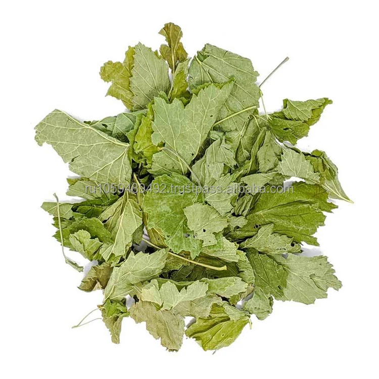 Whole dried lingonberry leaves tea natural product of Siberia great quality wholesale prices dried lingonberry leaf