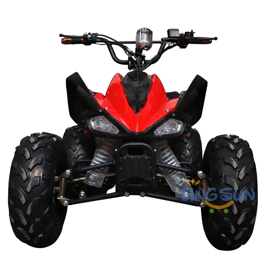 LINGSUN MOTOR 1000W Electric UTV 4X4 Snowbike Vehicles