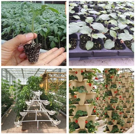 Модель современного сельского хозяйства Soilless culture