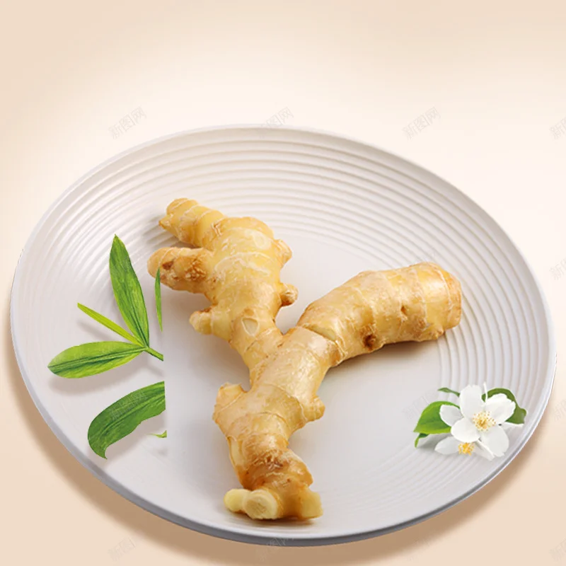 Low price fresh ginger dry ginger good quality fresh ginger