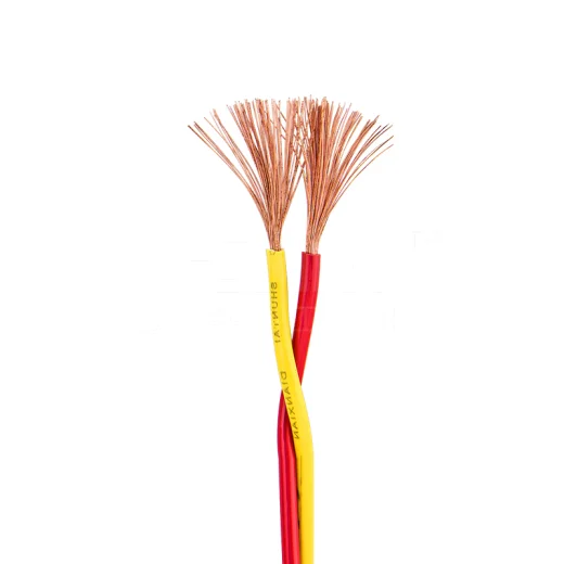 2core Copper Wire Signal Control Cable Electric Power Cable Pvc Insulated Shielded Twisted Pair Cable