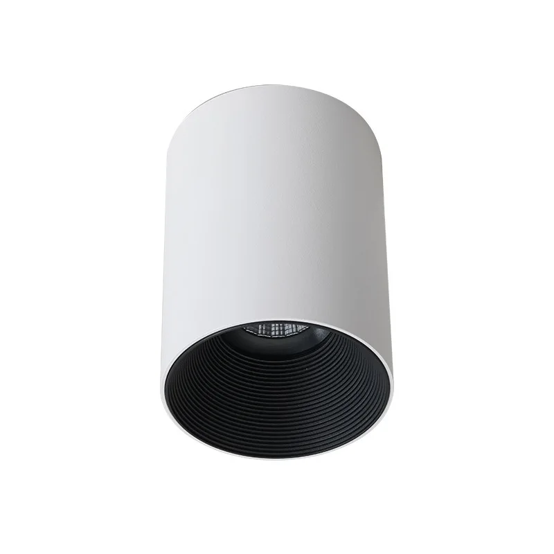 High-end Fitting Fixtures Surface Hole Pendant Mounted Cable Ceiling Lighting IP65 LED Downlight Globe Manufacturer in China