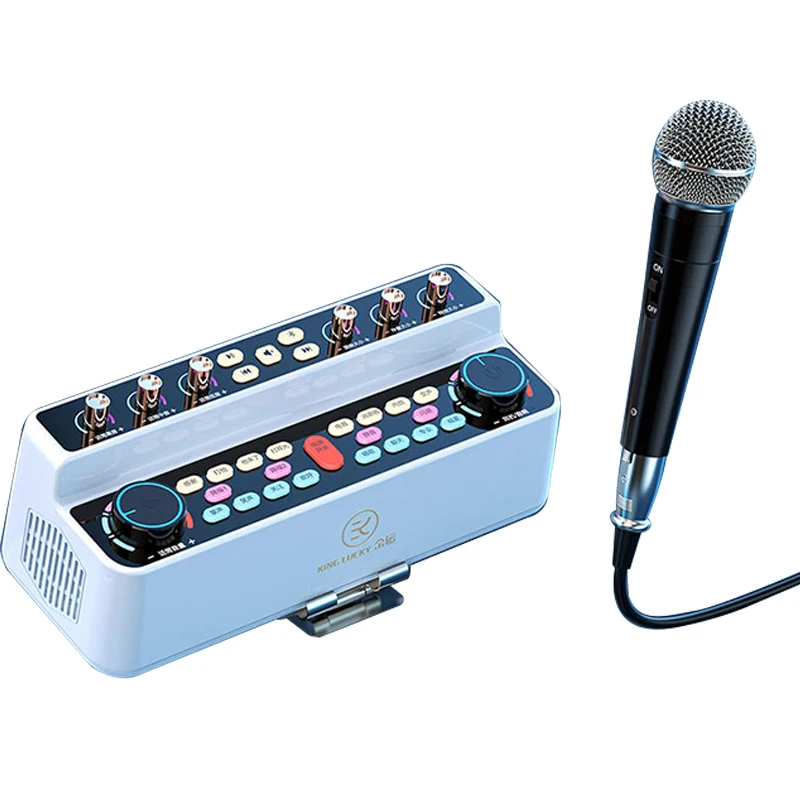 Live Sound Card Equipment Live Singing Sound Card Audio Bluetooth Mic Karoak Audio All in one mic and speaker set (1600750294134)