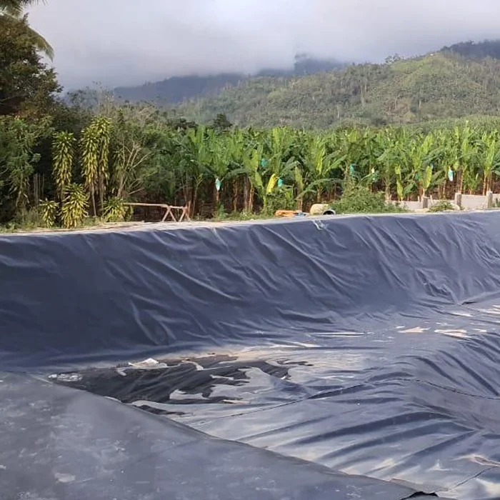 Wholesale price hdpe sheet plastic liner high density polyethylene geomembrane  2mm thickness hot sale high performance
