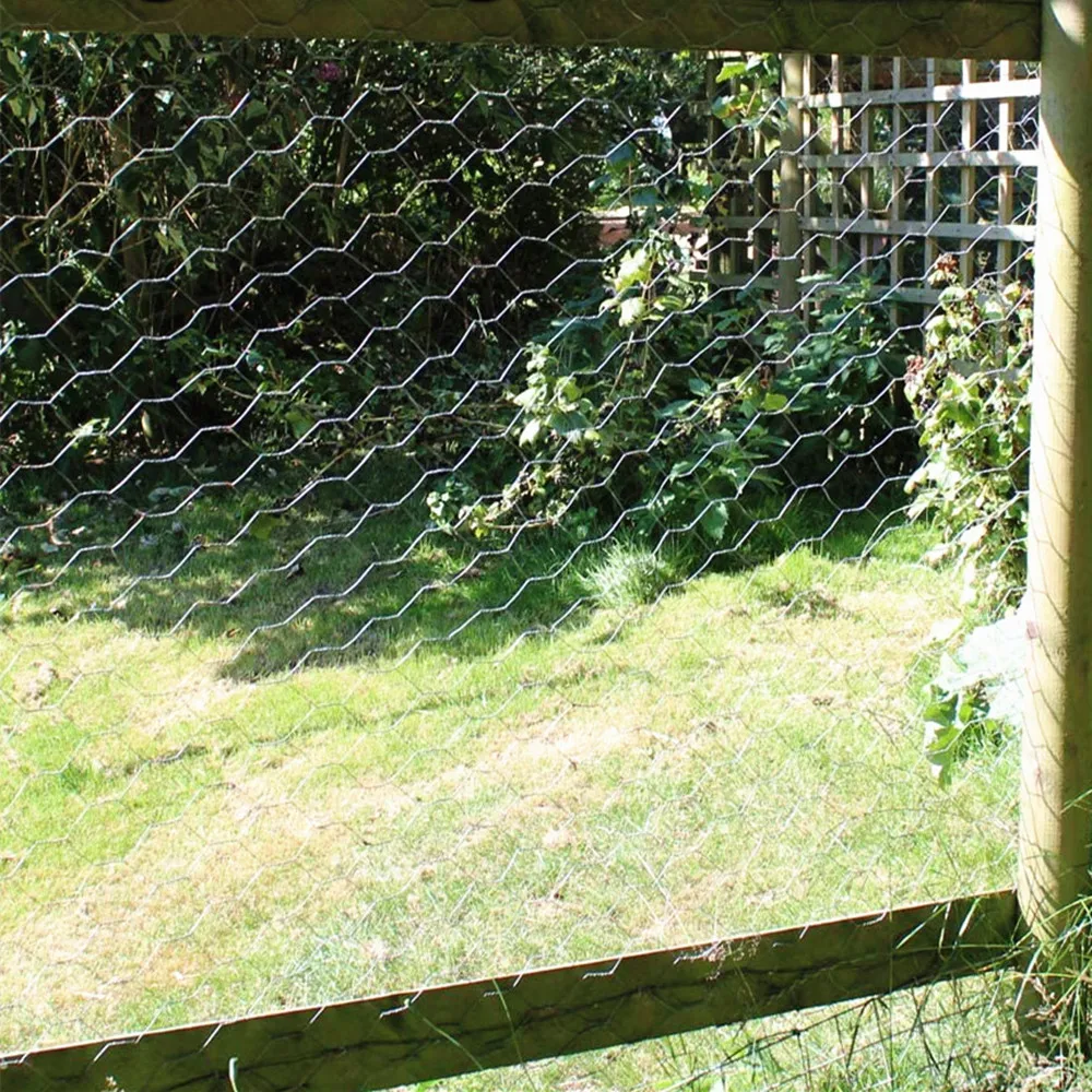 Free samples chicken hexagonal wire mesh for encircle poultry or garden