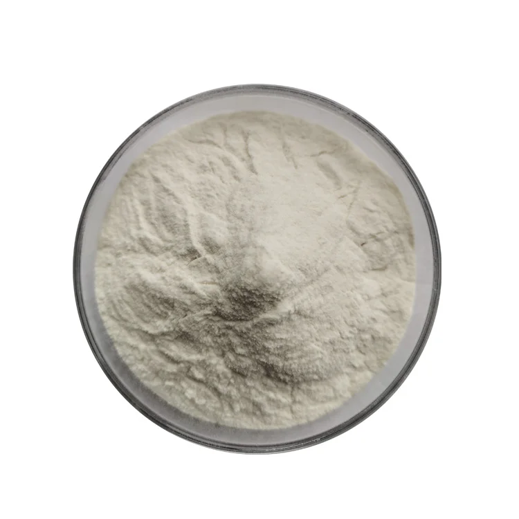 Factory price papain enzyme powder 2,000,000U/G Supply Food Grade enzyme preparation papain
