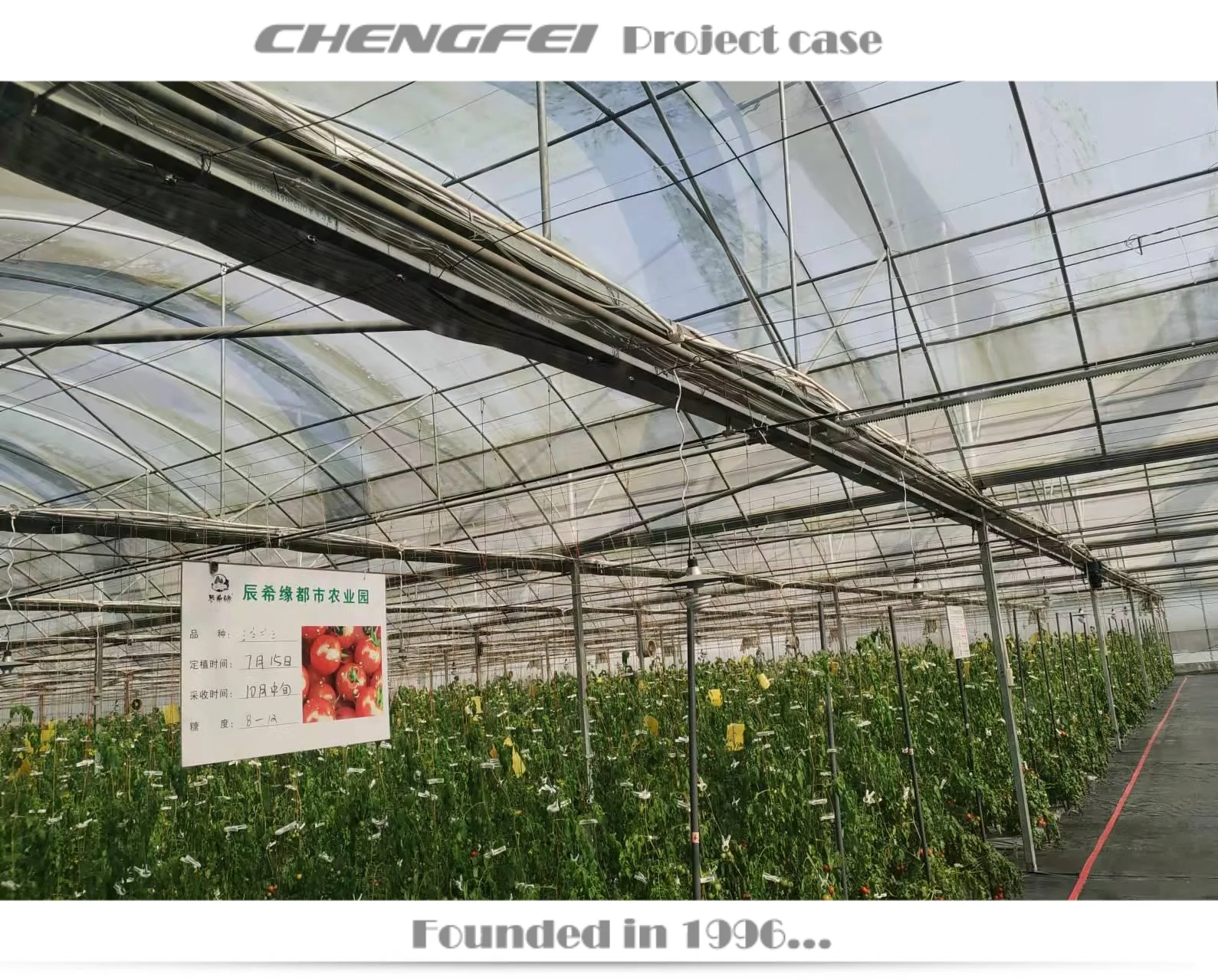 Multi-span serre-agricol plastic film chilli vegetable greenhouse buy agriculture turkey supplier for sale