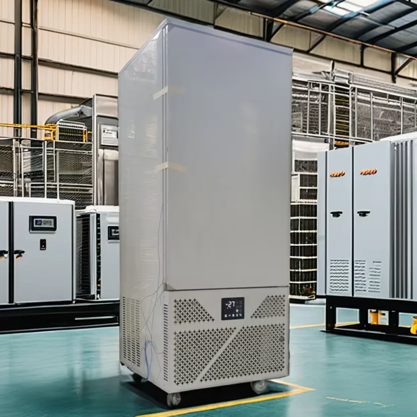 Commercial Blast Freezer/Meat Refrigerator for Shops Single-Temperature Deep Freezer with 220V Compressor Cool Climate