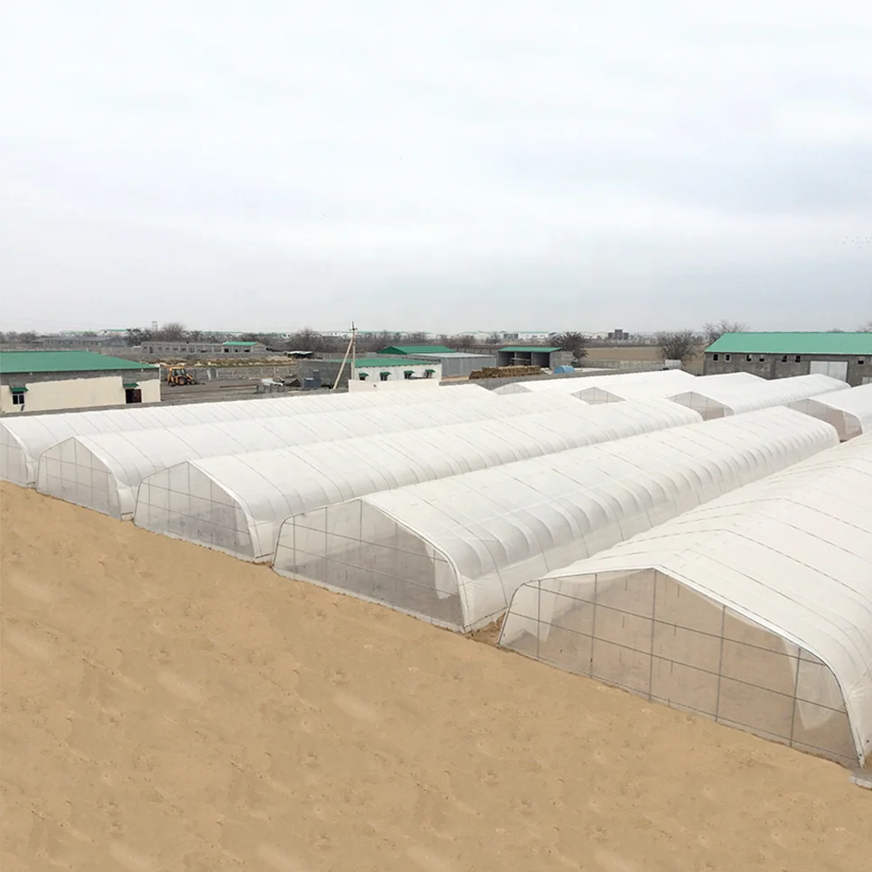 Strong packing poly tunnel hobby greenhouse commercial agricultural green house with vertical tower hydroponic growing system