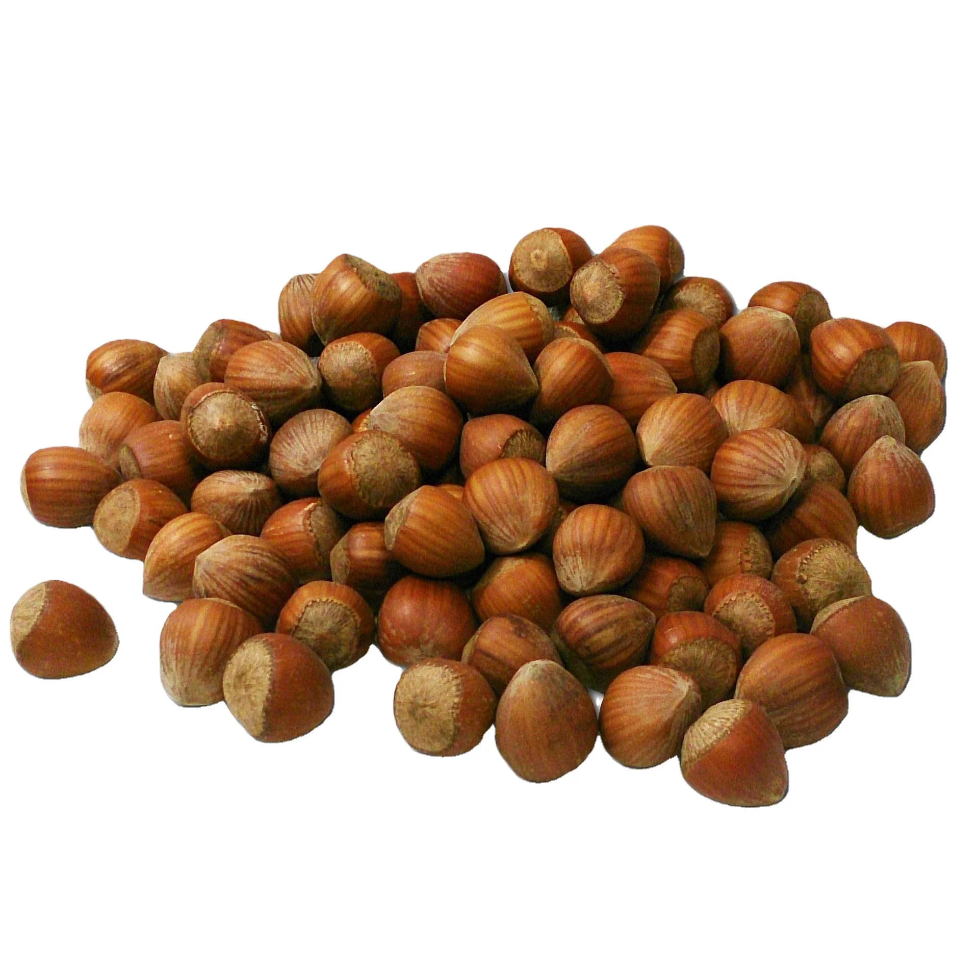 Suppliers Shelled Hazelnut Dried Hazelnut UnPealed Sale From Turkey OEM Shell Box Style Packaging 50 kg FOOD  Color Package