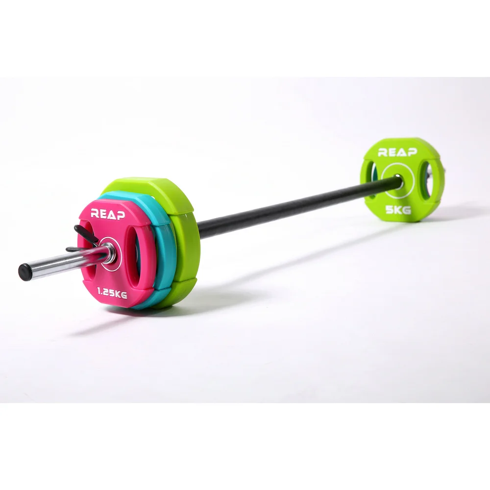 Reapbarbell Hot-selling pe box packing standard gym equipment cement dumbbell set