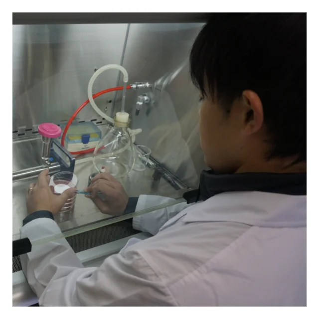 Ballast water analysis