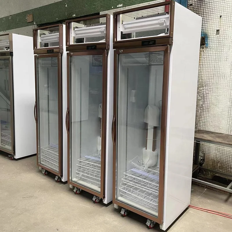 Used commercial vertical freezer air cooled one glass door upright italian ice cream display freezer