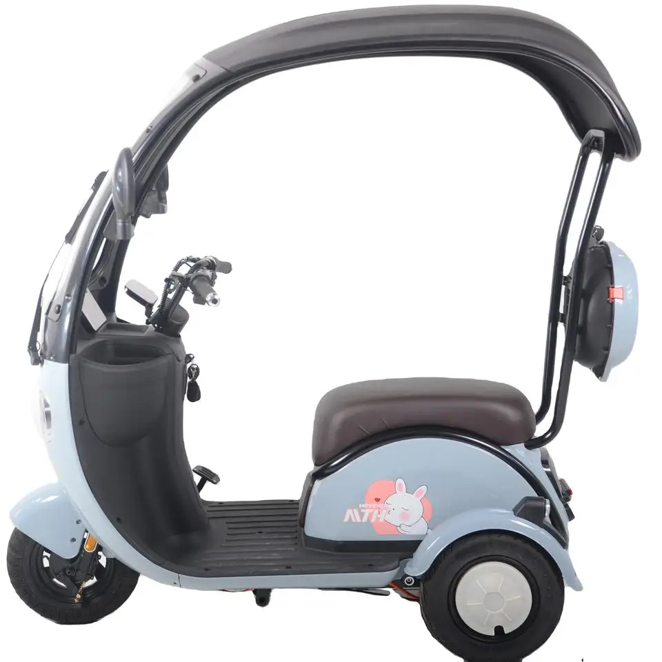 Cute Design Three Wheel Electric Tricycles Drum Brake With Roof Popular Scooter