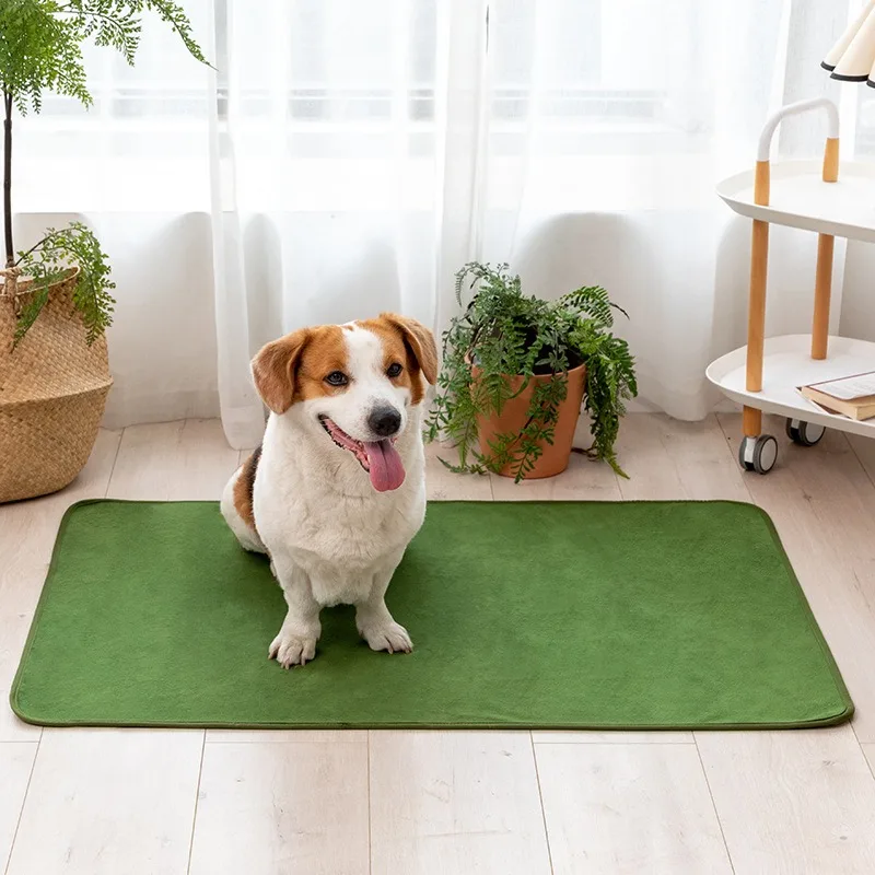 Pet Products Training Behavior Supplies Cleaning Pee Urine Pads Toilet Instruction For Cats Puppy Dog