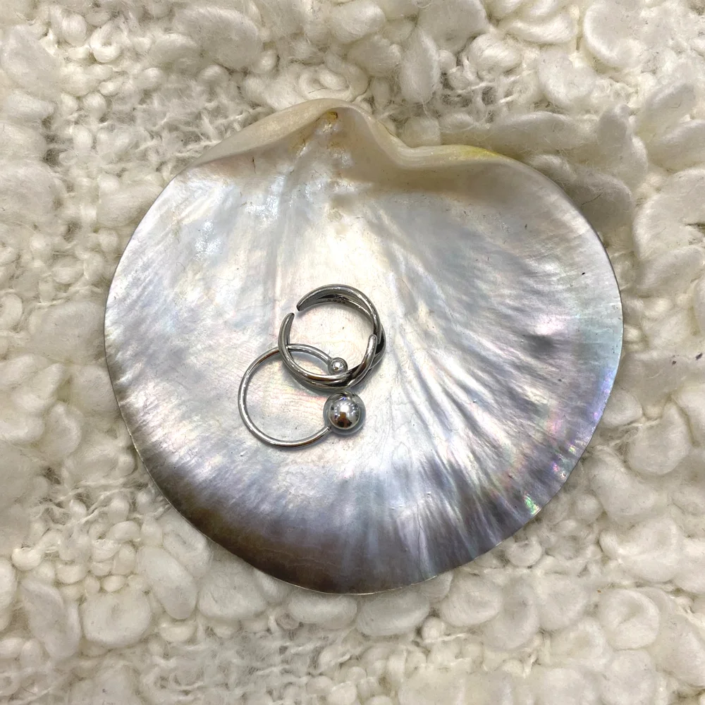 Ракушки с черной бабочкой 60-90 мм украшение «сделай сам» морской пляж Декор гребешок образец поднос для приправ ресторана икры