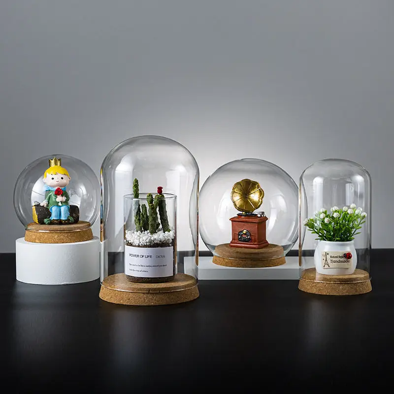Hot Sale Cheap Large Glass Cloche Dome Bell Jar Display Stand Cover Terrarium Bottle with Cork Base for DIY Decor Glass Dome