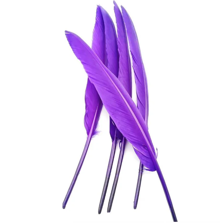 DIY Wholesale plume hot selling points bird black pink white blue carnival Cheap Wing feathers goose feather for sale