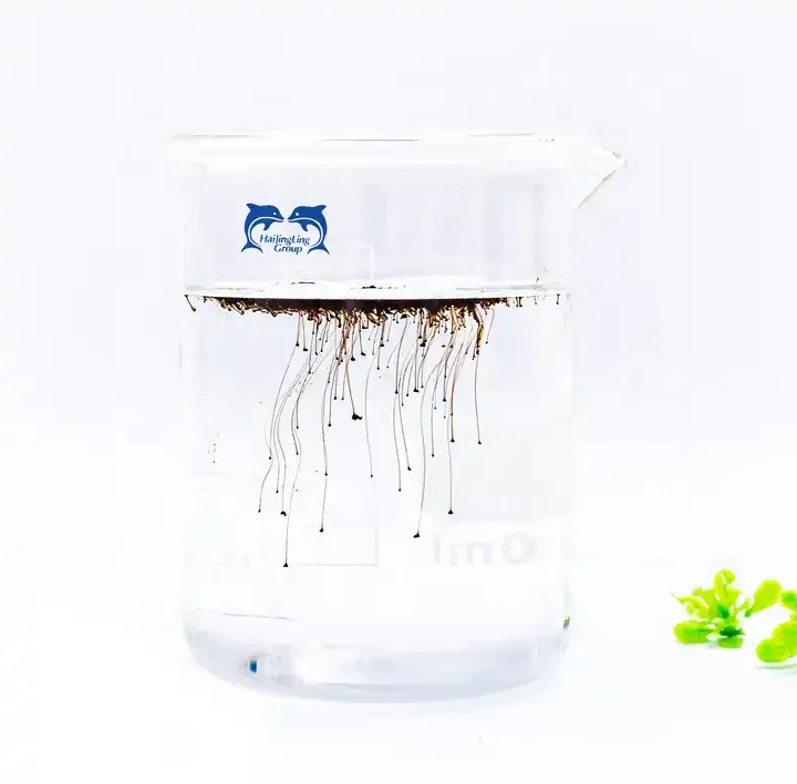 Fertilizer manufacturing Agriculture Fertilizer Organic Black Humic Acid Powder Agricultural Grade Organic Fertilizer