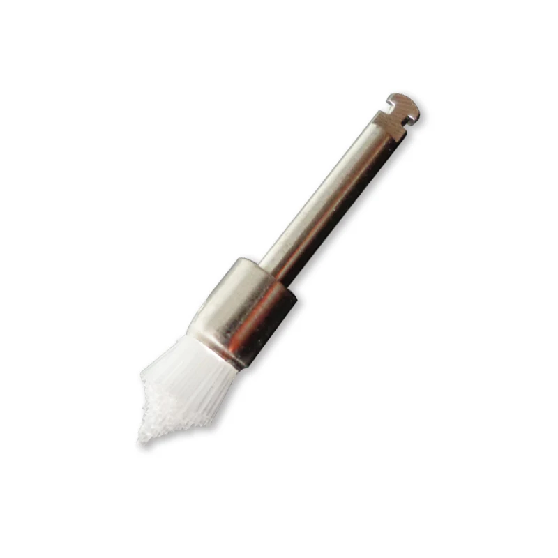 TA024 ZOGEAR Disposable dental tapered style prophy brush