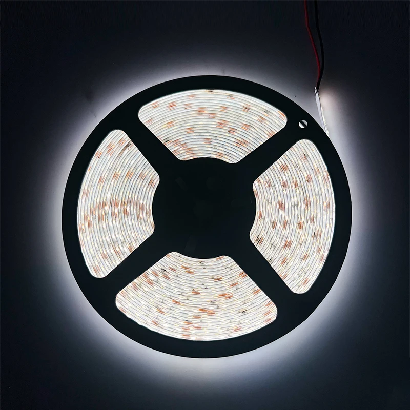 IP65 waterproof 5050 2835 24v 12V RGB rgbw cob strips outdoor warm white led strip lights silicone tubing for led strips