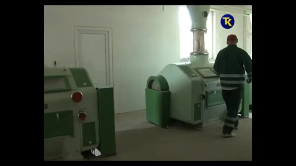 
Wheat Flour Package Bag HALAL ISO Certificated 1st Grade High Quality Wheat Origin 