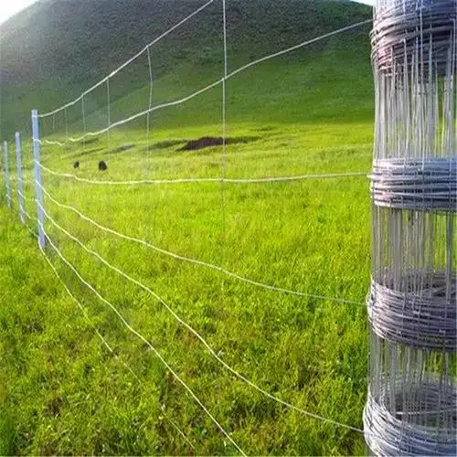Factory Price High Quality 8ft Height 3 Mm Diameter Galvanized Hinge Knot High Tensile Wire Strainer Fence Used For Cattle