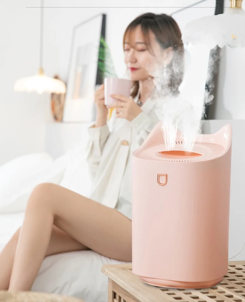 Home bedroom silent usb humidifier double spray cat humidifier 3L large capacity diffuser