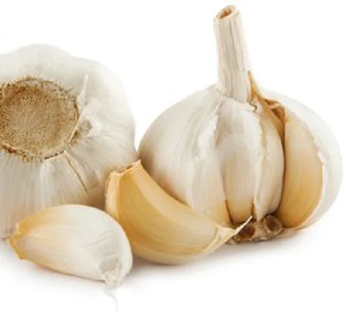 
buy china top quality full size bulk fresh pure white garlic vegetables suppliers 