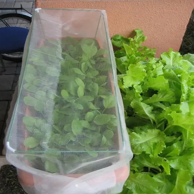 insect breeding tural agro greenhouse butterfly killer orange tree hdpe mesh60 anti insect net roll