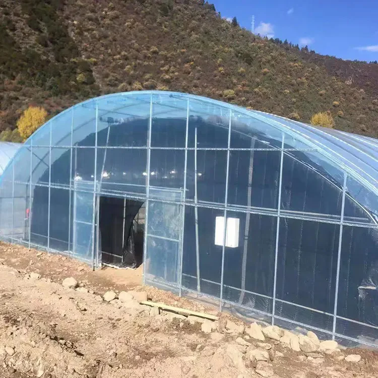 Double arch galvanized steel structure waterproof greenhouse warm quilt cold winter warm passive solar greenhouse