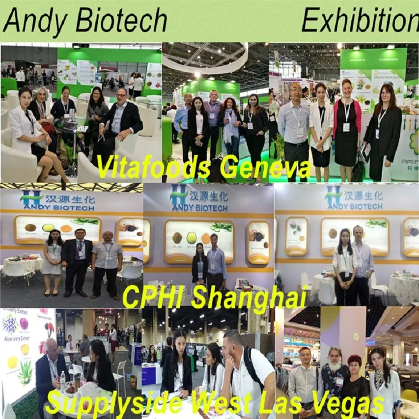 Органические листья розмарина P.E. экстракт карнозная кислота