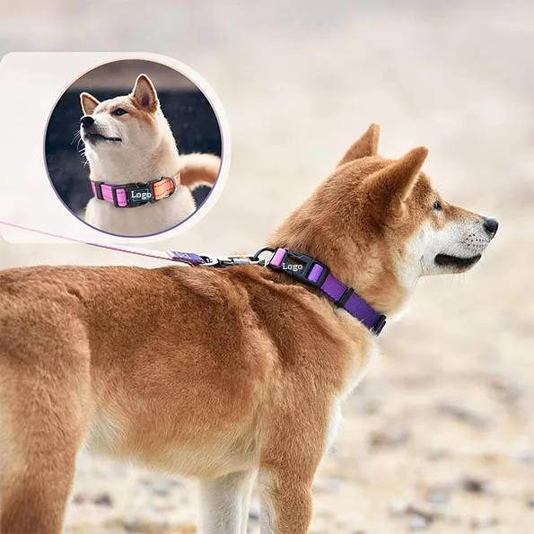 Manufacturer  Nylon Reflective Purple Martingale Adjustable Durable for Walking Playing Training Dog Collar Leash Set