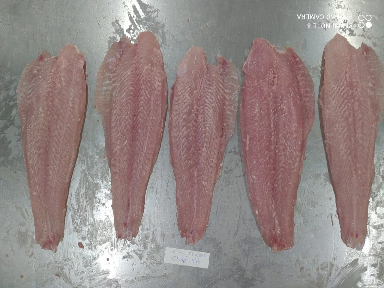 Best Seafood Pangasius/ Basa fish fillet, Untreated VietNam Product