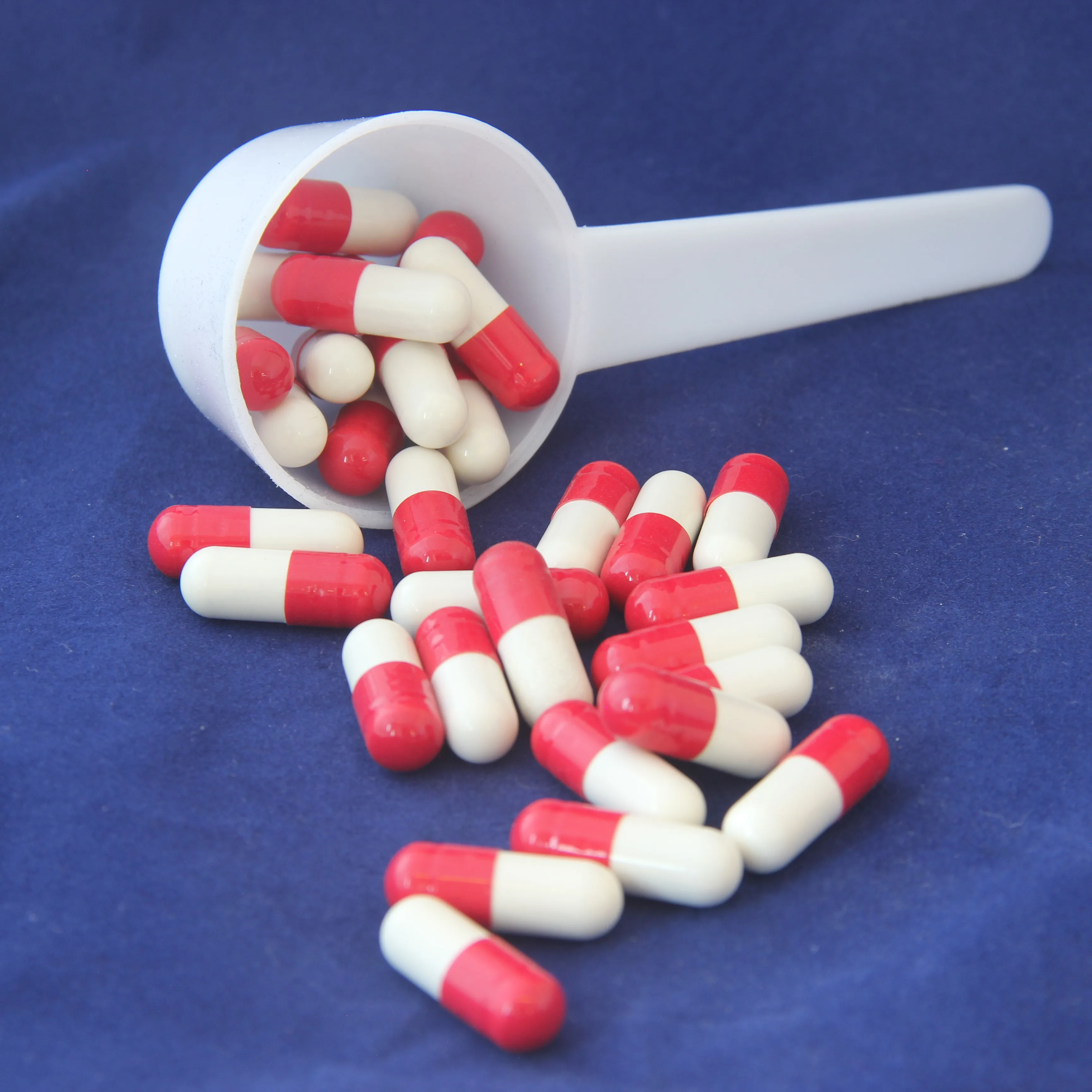 Green Tea + CLA Pills Capsule