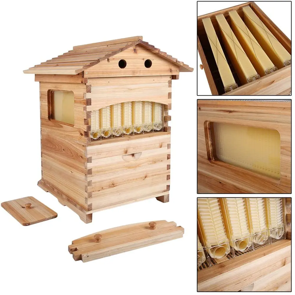 Flows Beehive Complete Kit Bee Hives Boxes Starter Kit