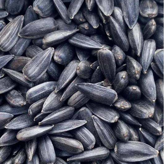 Черные семена подсолнечника для масла высокой степени очистки, небольшие черные семена подсолнечника