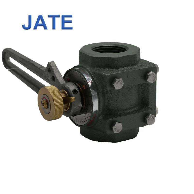 JATE SVP 40  Sanitary  Double Flanged  Manual Butterfly Valve With Pull Handle cast iron