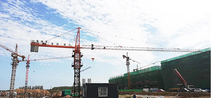 shuangfeng 16t Topkit Tower Crane Tower Cranes for Sale